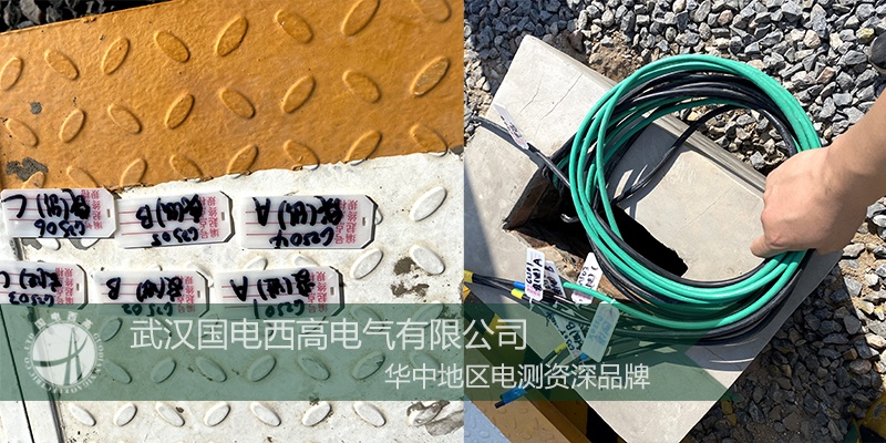 國電西高